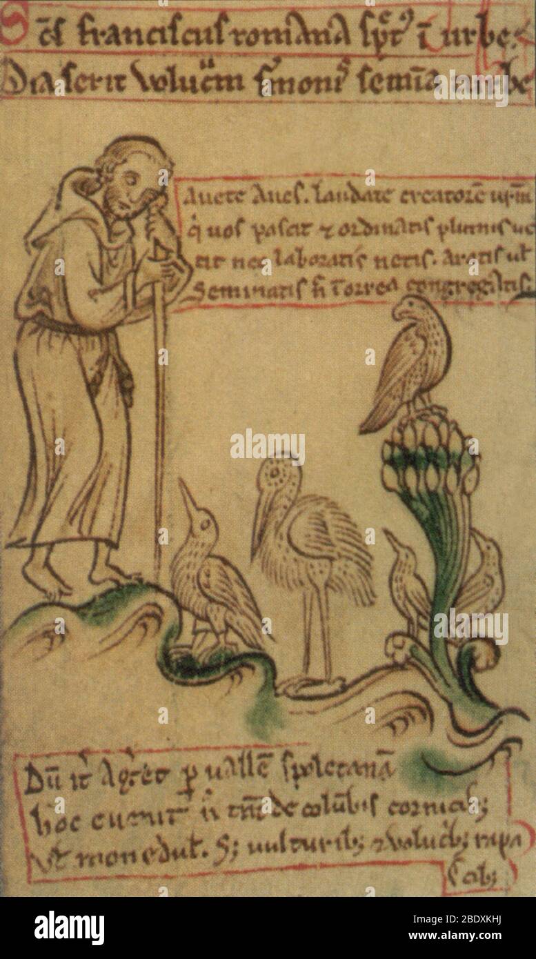 Chronica Majora, der heilige Franz von Assisi Stockfoto