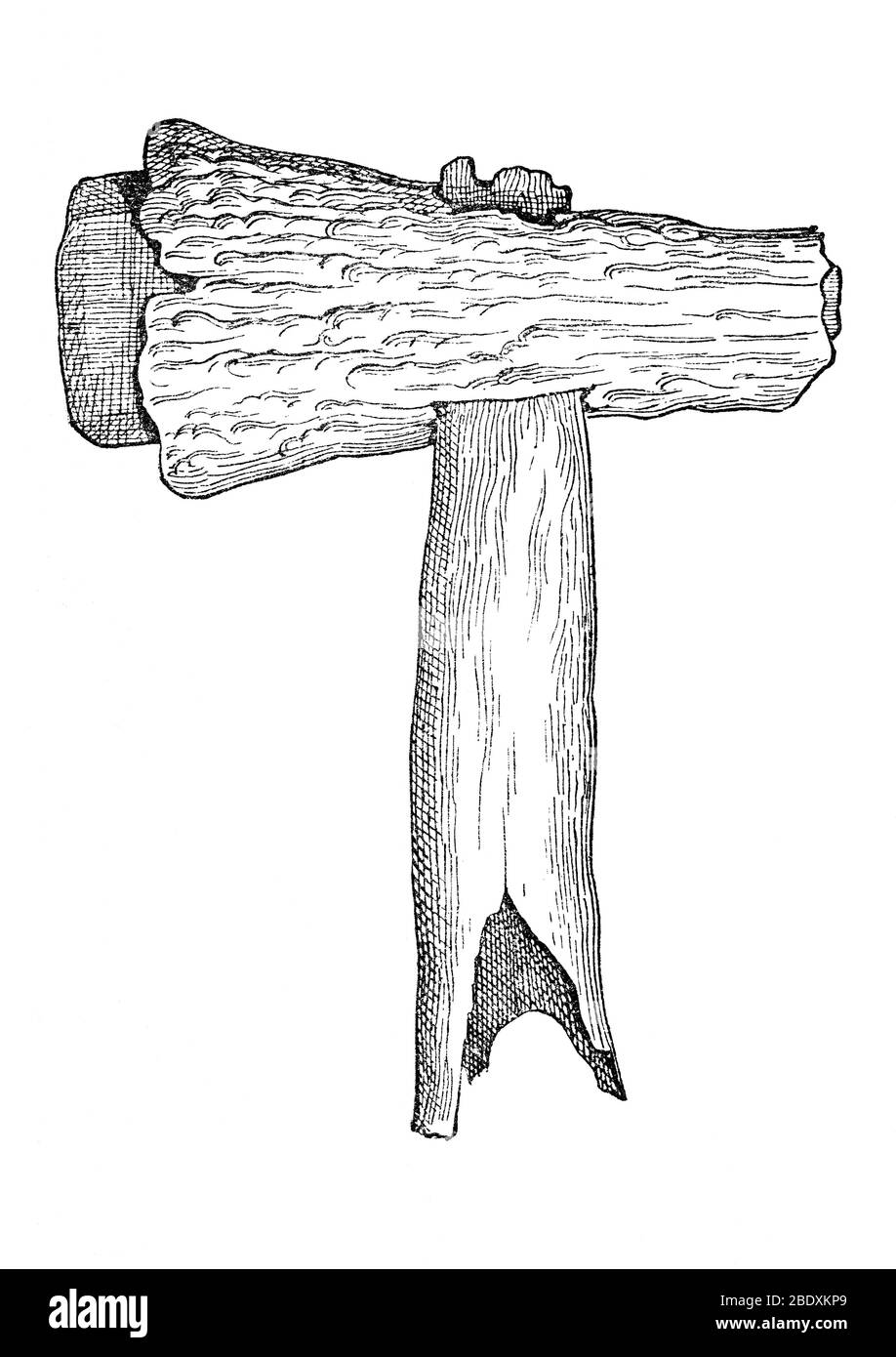 Flint Hatchet mit Staghorn-Mantel, Steinzeitwerkzeug Stockfoto
