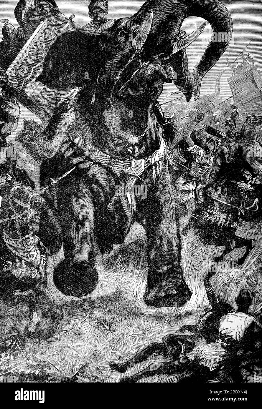 Alexander der große, Schlacht der Hydaspes, 326 v. Chr. Stockfoto
