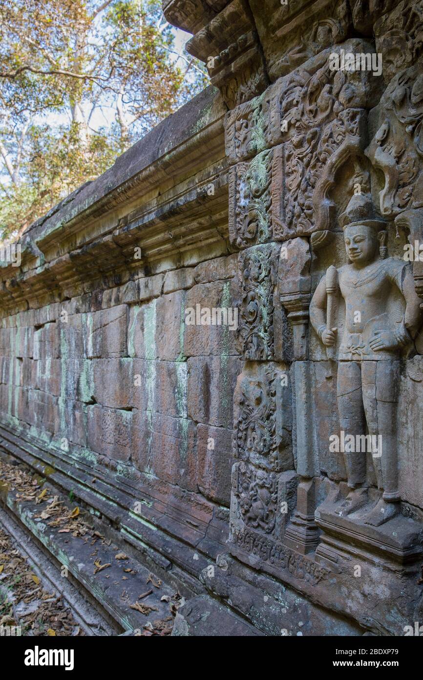 Banyan Tree und Ruinen des Baphuon-Tempels Angkor Thom, Siem Reap, Kambodscha. Stockfoto