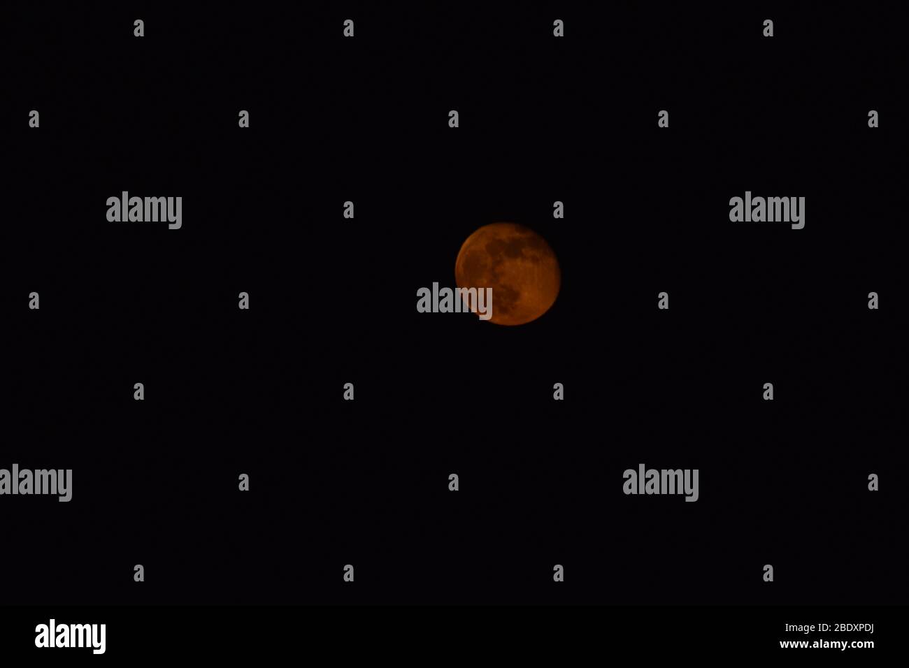 Blutmond Stockfoto
