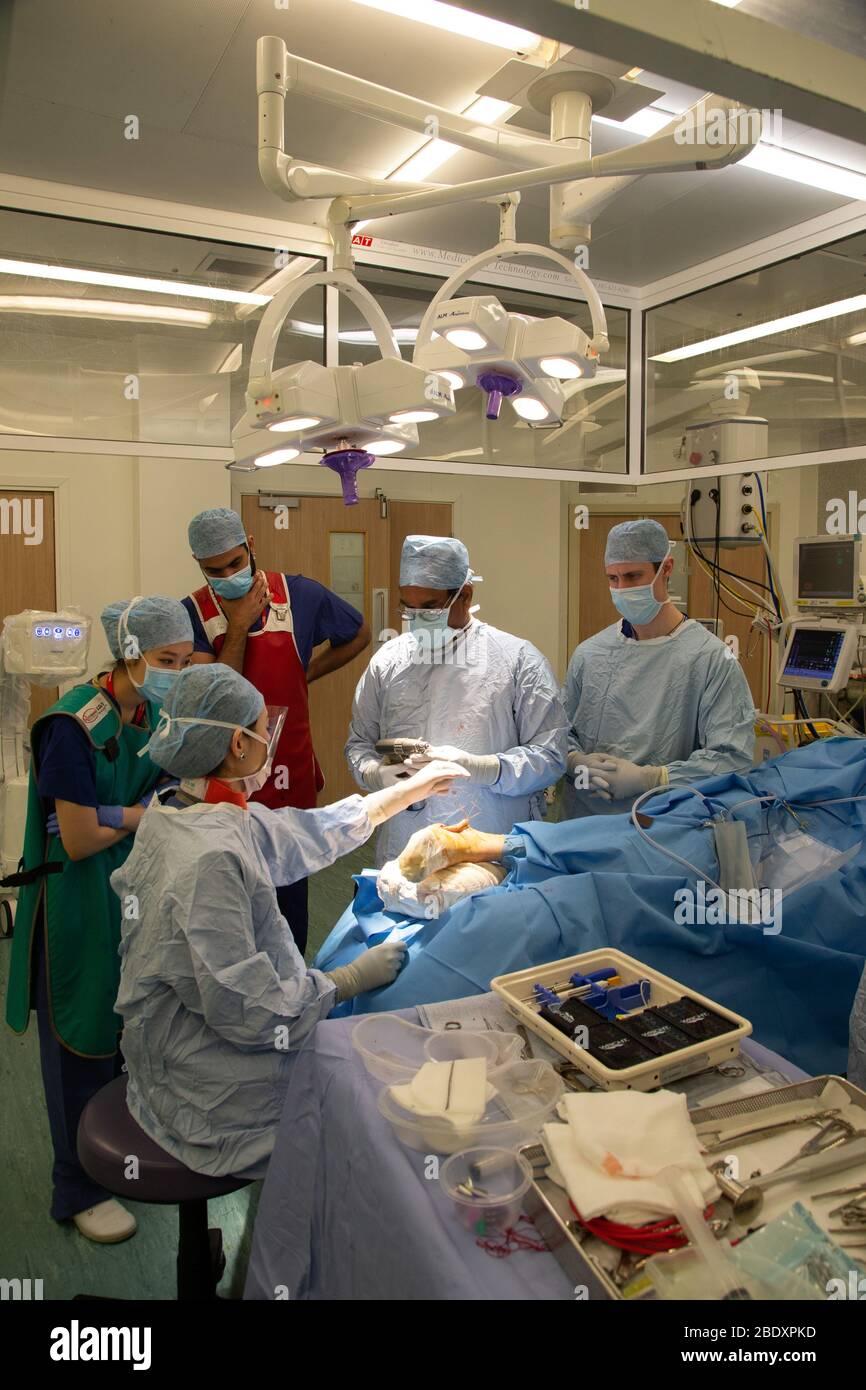 Chirurgen und Techniker führen eine Metallplatte in den Fußbereich des Fußes eines Patienten ein, um einen Knochenbruch und ein beschädigtes Gelenk zu reparieren. Stockfoto