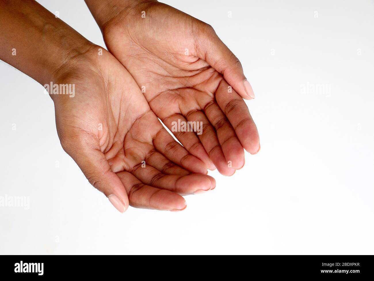 Isolierte weibliche schwarze afrikanische indische Hände schröpften zusammen und zeigten Bettelgesten vor einem weißen Hintergrund Stockfoto