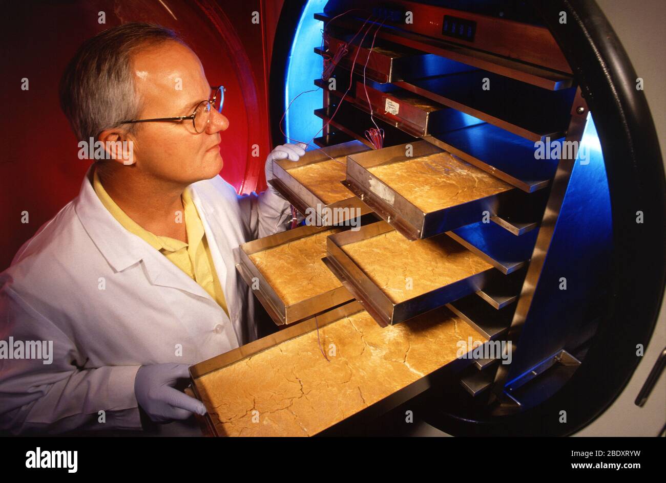 Pilzforschung Stockfoto