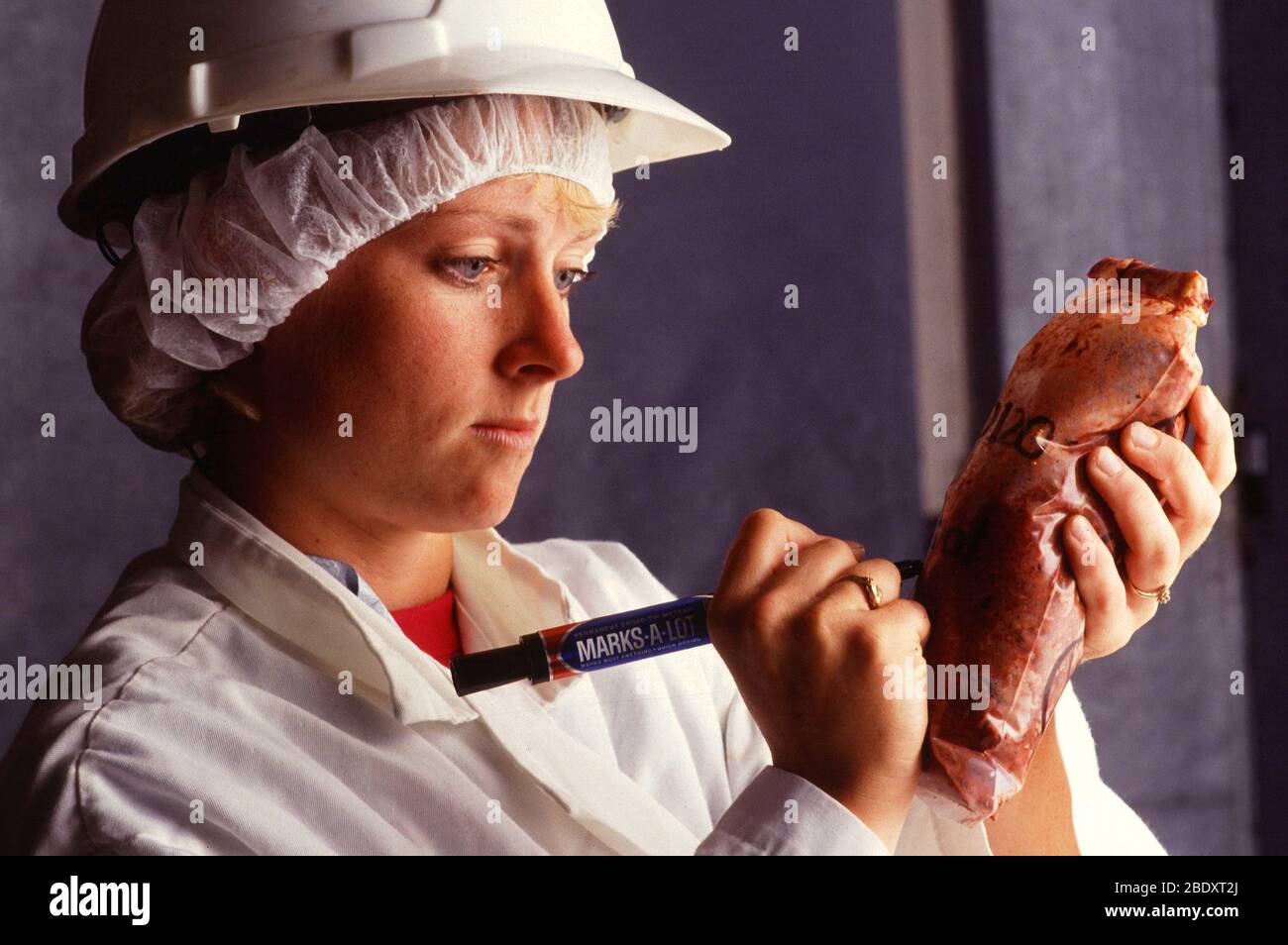 Analyse Von Rinderfett Stockfoto