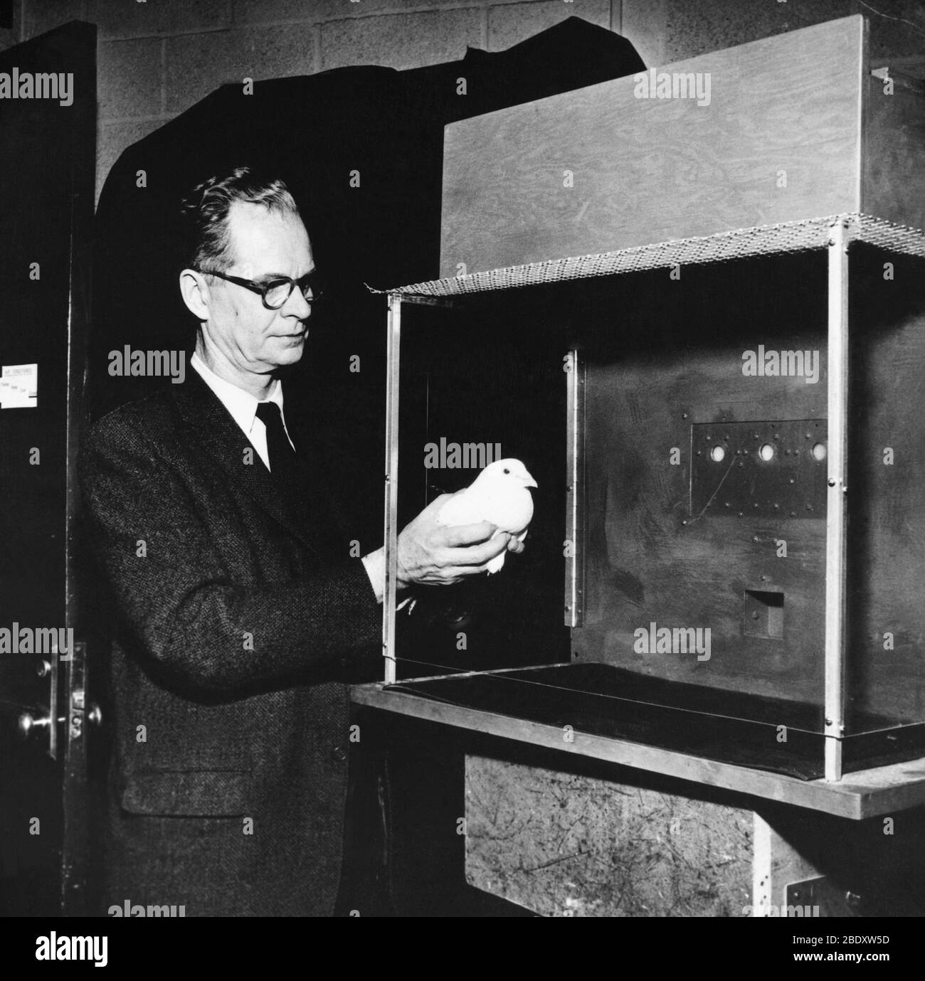 [20+] Puzzle Box Gegen Skinner Box