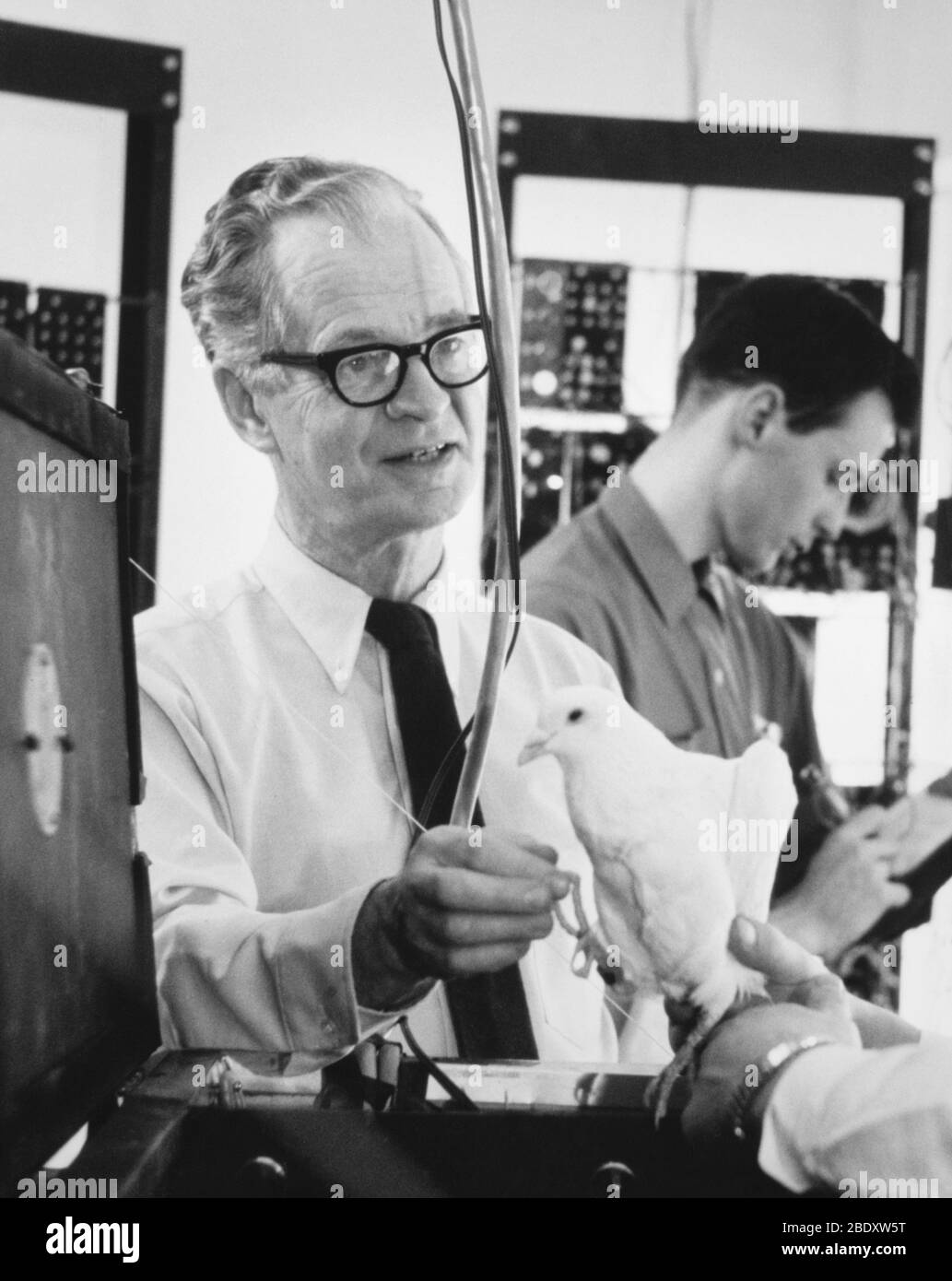 B. F. Skinner Stockfoto