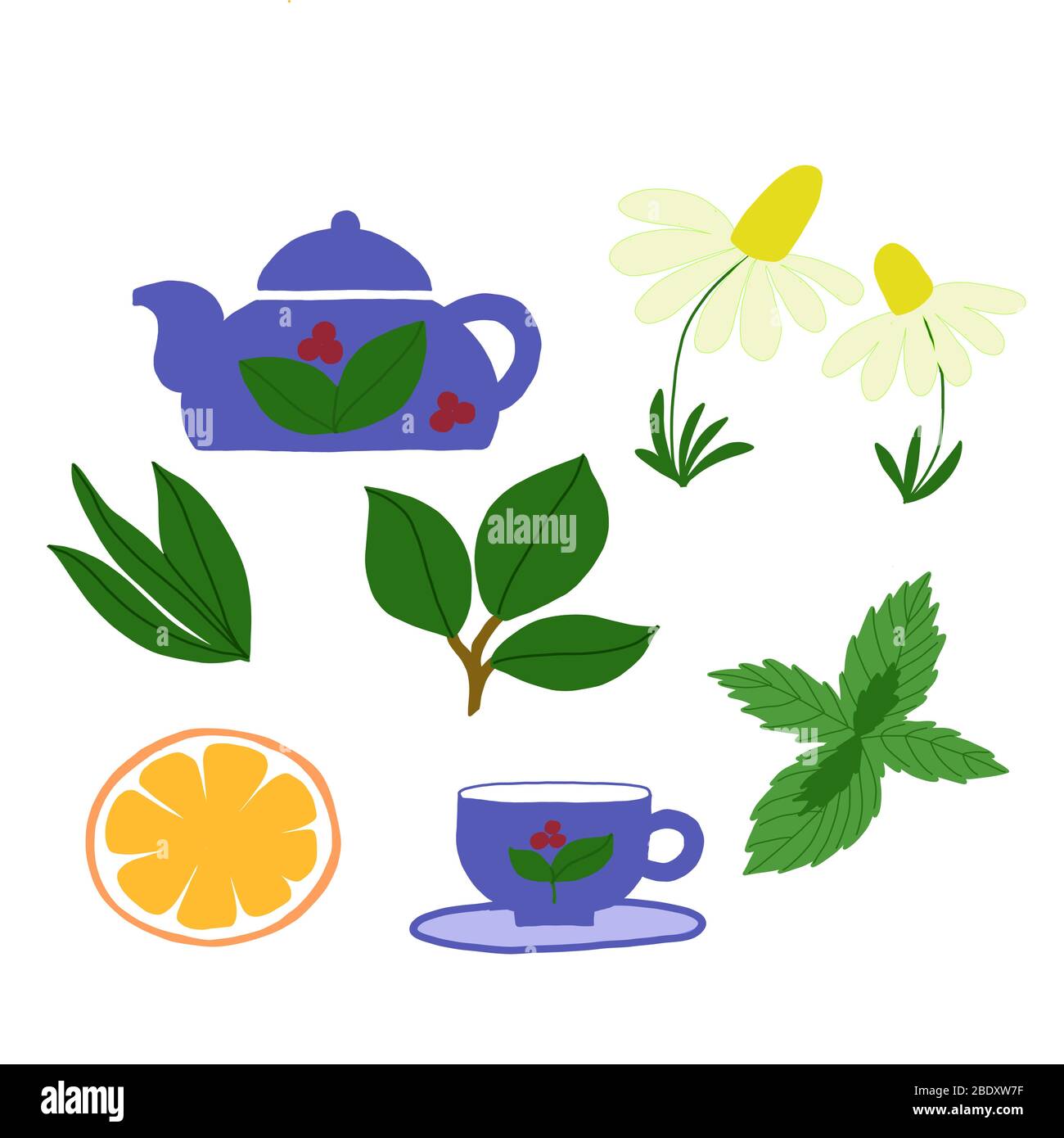 Vektor-Set auf einem weißen Hintergrund einer Tasse, Teekanne, Teeblätter, Minze und Kamille. Für Menü-Design, Verpackung, Tapete Stock Vektor
