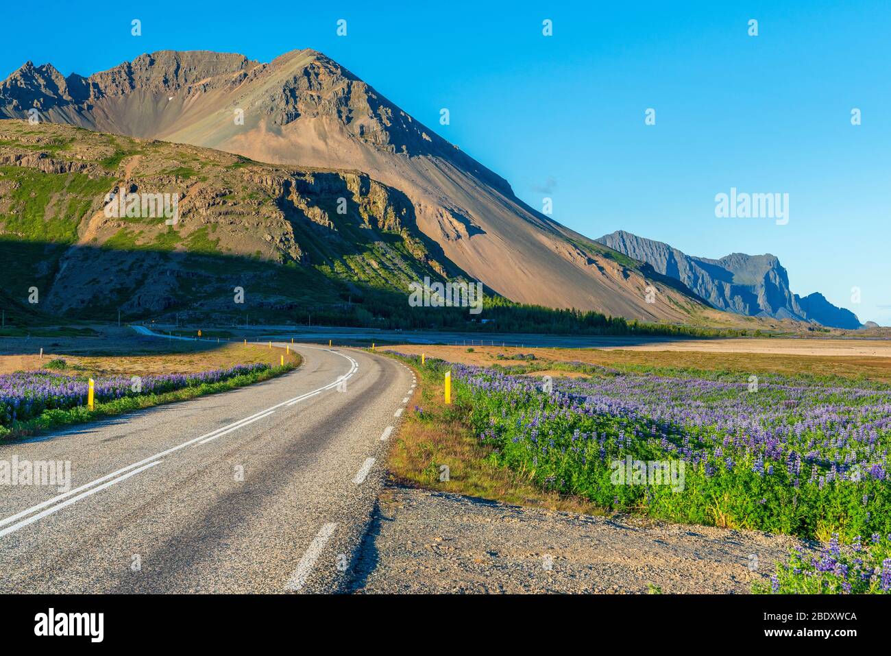 Isländische Landschaft entlang der Ringstraße, Ostregion, Island, Ostregion, Island Stockfoto