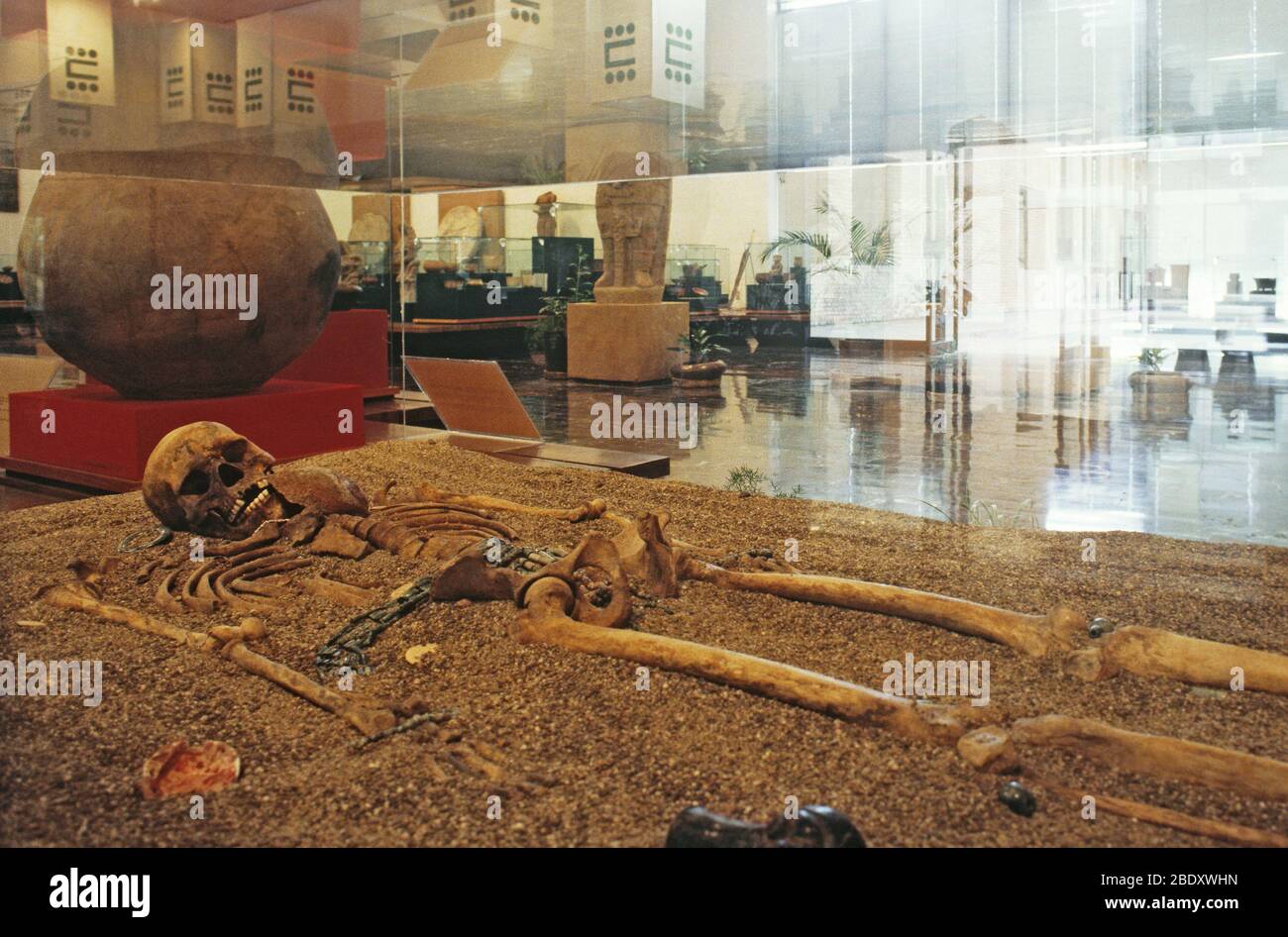 Anthropologisches Museum, Tuxtla Gutierrez Stockfoto