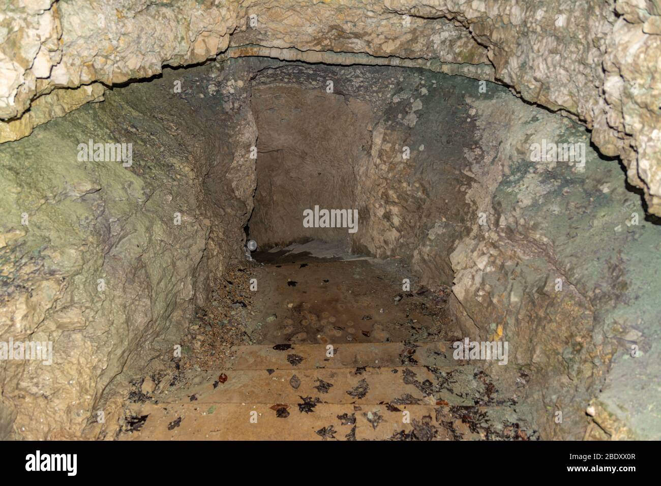 Eintritt zur X-Cave im Carter Cave State Park in Kentucky Stockfoto
