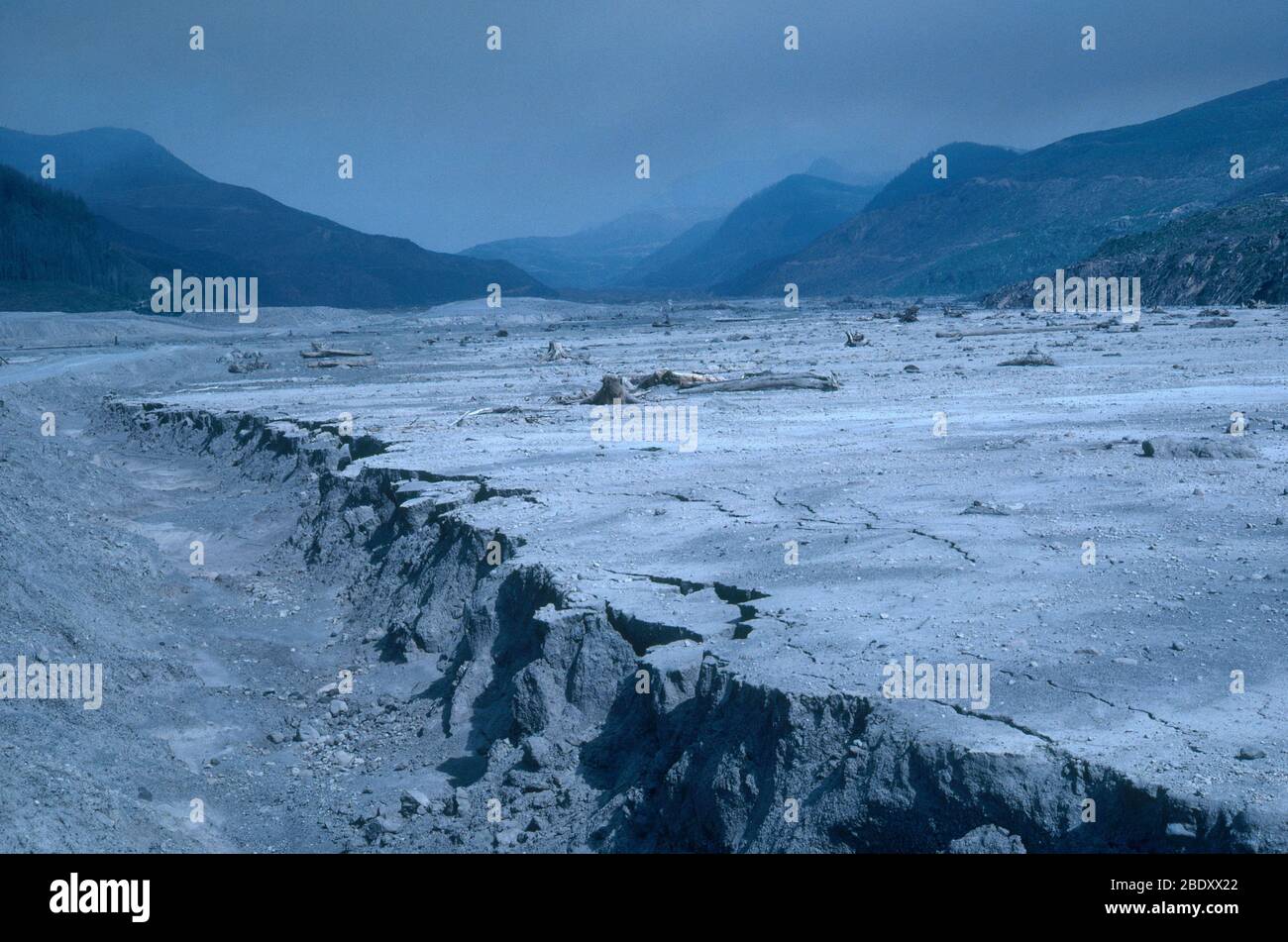 Eschenbedeckung von Mt. St. Helens Stockfoto