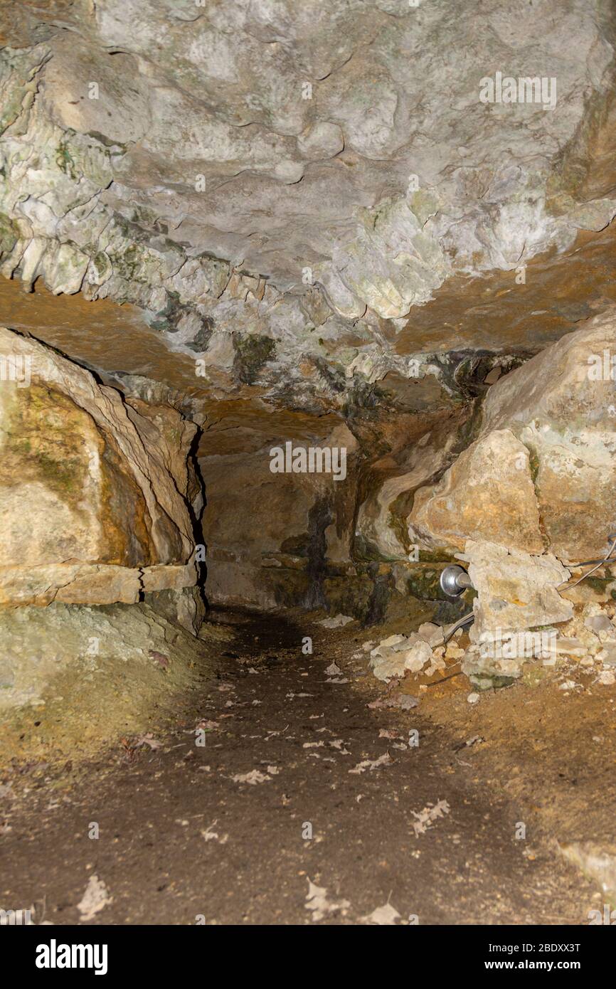 Eintritt zur X-Cave im Carter Cave State Park in Kentucky Stockfoto