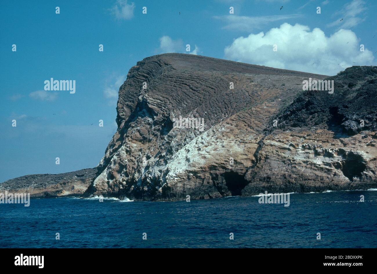 Die vulkanische Küste der Insel James auf den Galapagos Inseln. Stockfoto