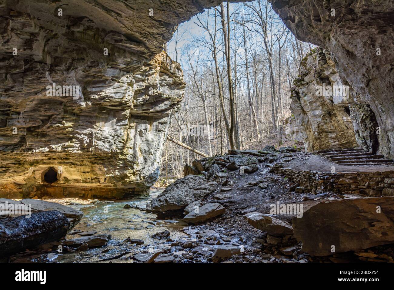 Naturbrücke Kalksteinbogen im Carter Cave State Park in Kentucky Stockfoto
