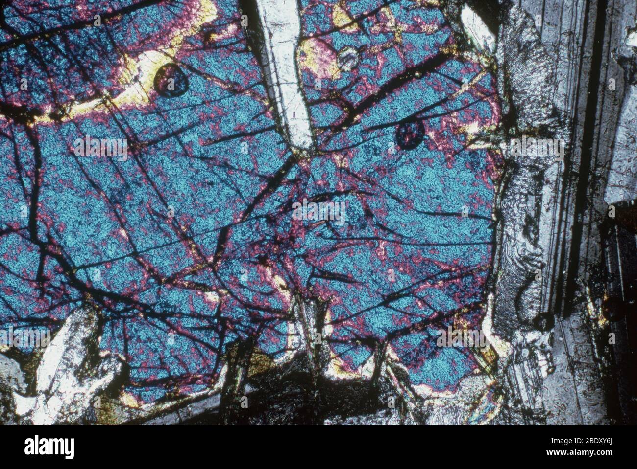 Olivin Gabbro. Gabbro ist eine Gruppe von dunklen, natürlich-körnigen intrusiven mafischen igneous Gesteinen, die chemisch Basalt entsprechen. Wenn große Mengen des Minerals Olivin (auch Peridot genannt) vorhanden sind, wird es Olivin Gabbro genannt. Stockfoto