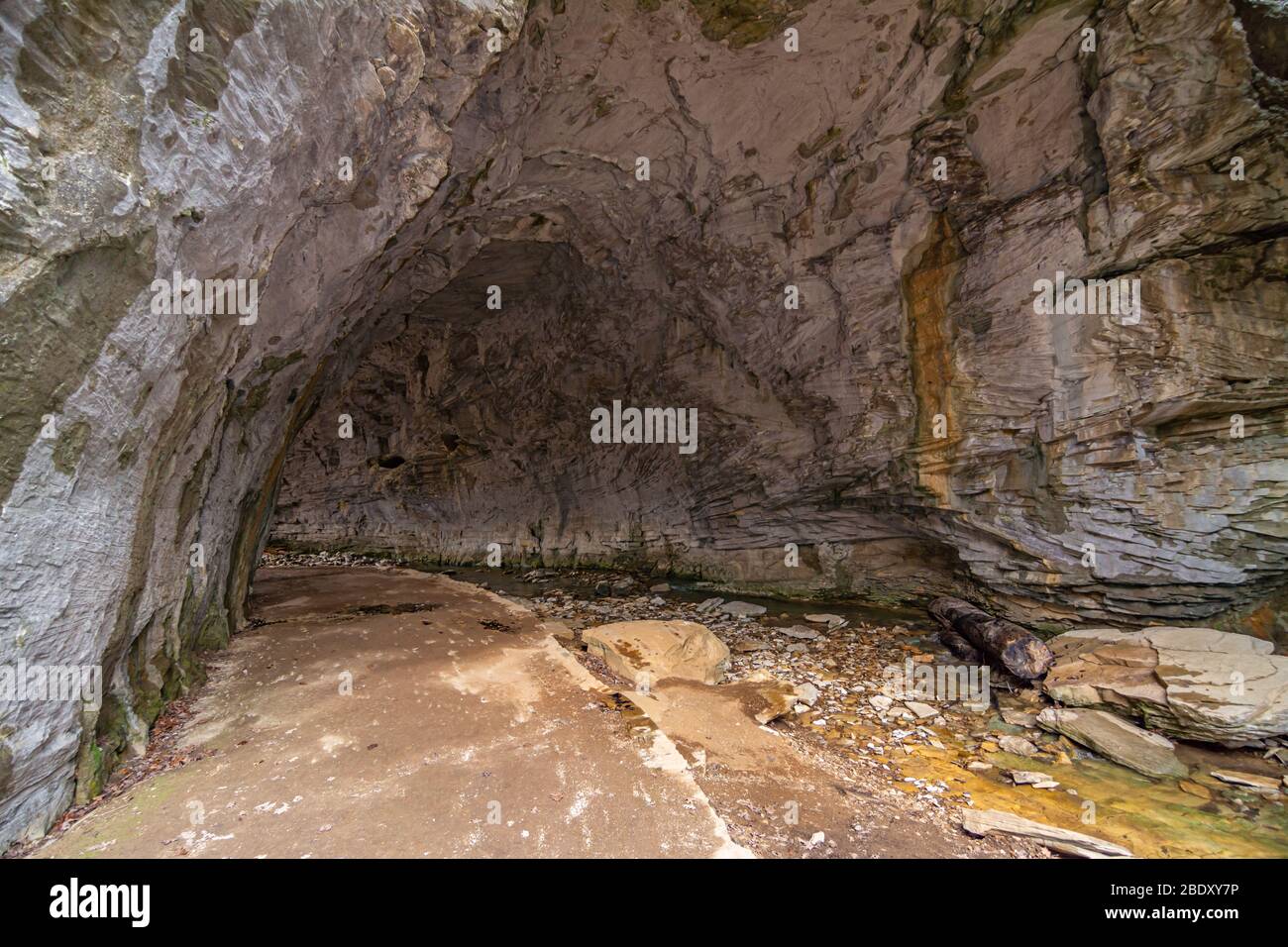 Naturbrücke Kalksteinbogen im Carter Cave State Park in Kentucky Stockfoto
