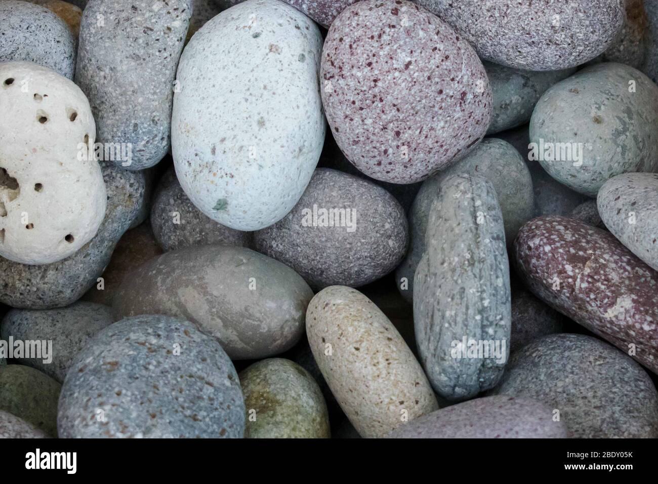 Abstrakt von glatten runden Kieselsteinen. Strand Felsen oder Kieselsteine. Lila und weiße Kieselsteine Stockfoto