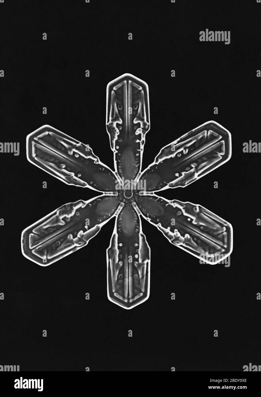 Schneeflocke Stockfoto