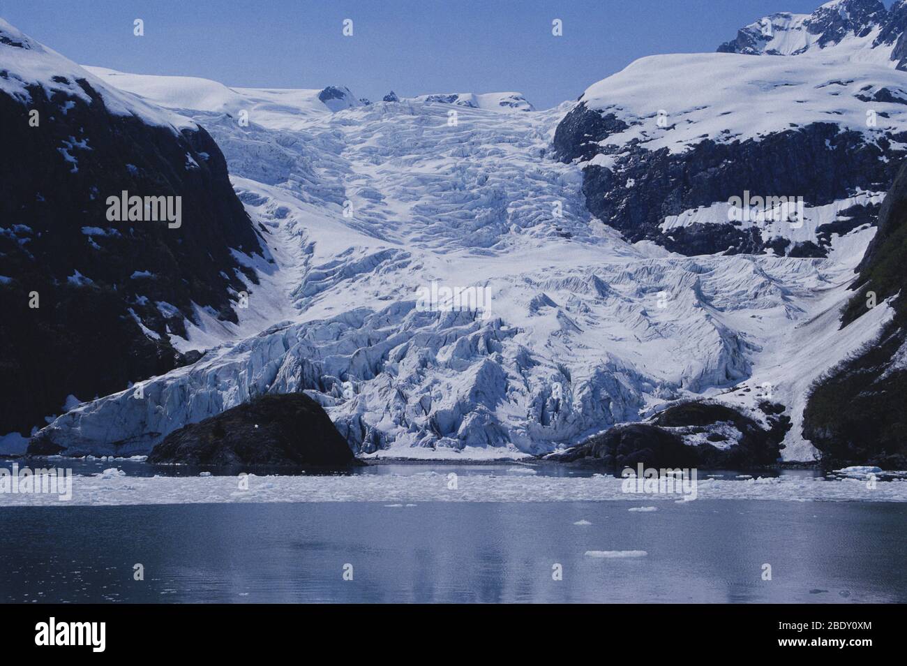 Gletscher in Kenai Fjorden Stockfoto