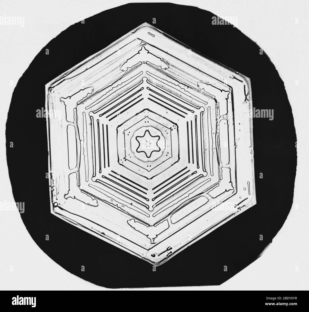 Schneeflocke Stockfoto