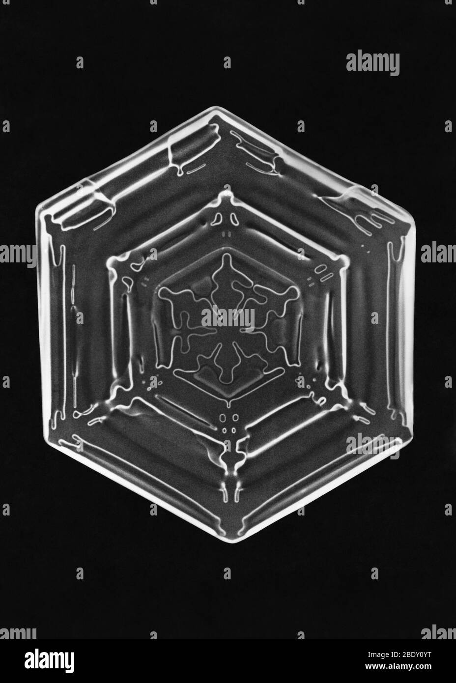 Schneeflocke Stockfoto