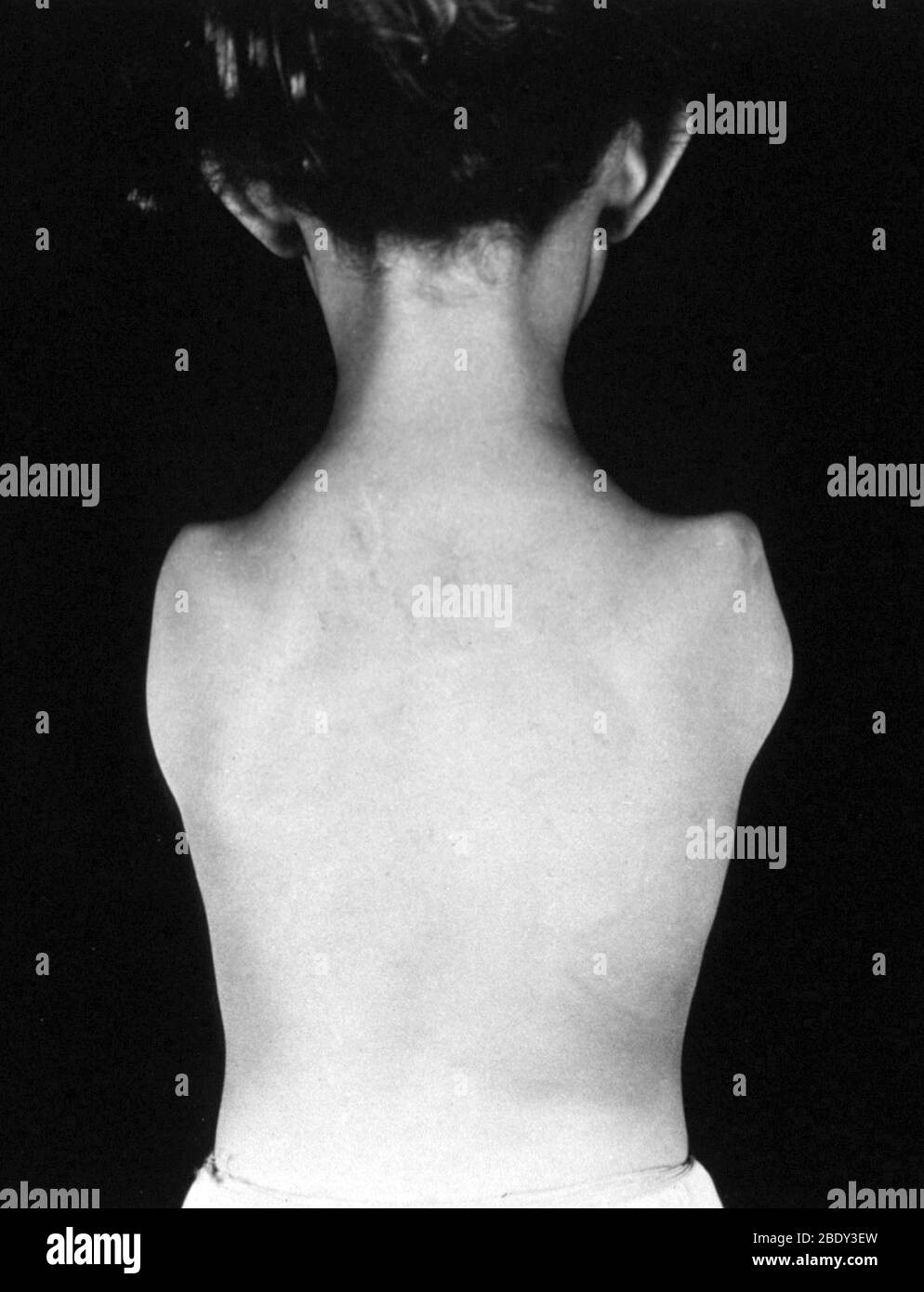 Doppelter Ampere (1 von 2) Stockfoto