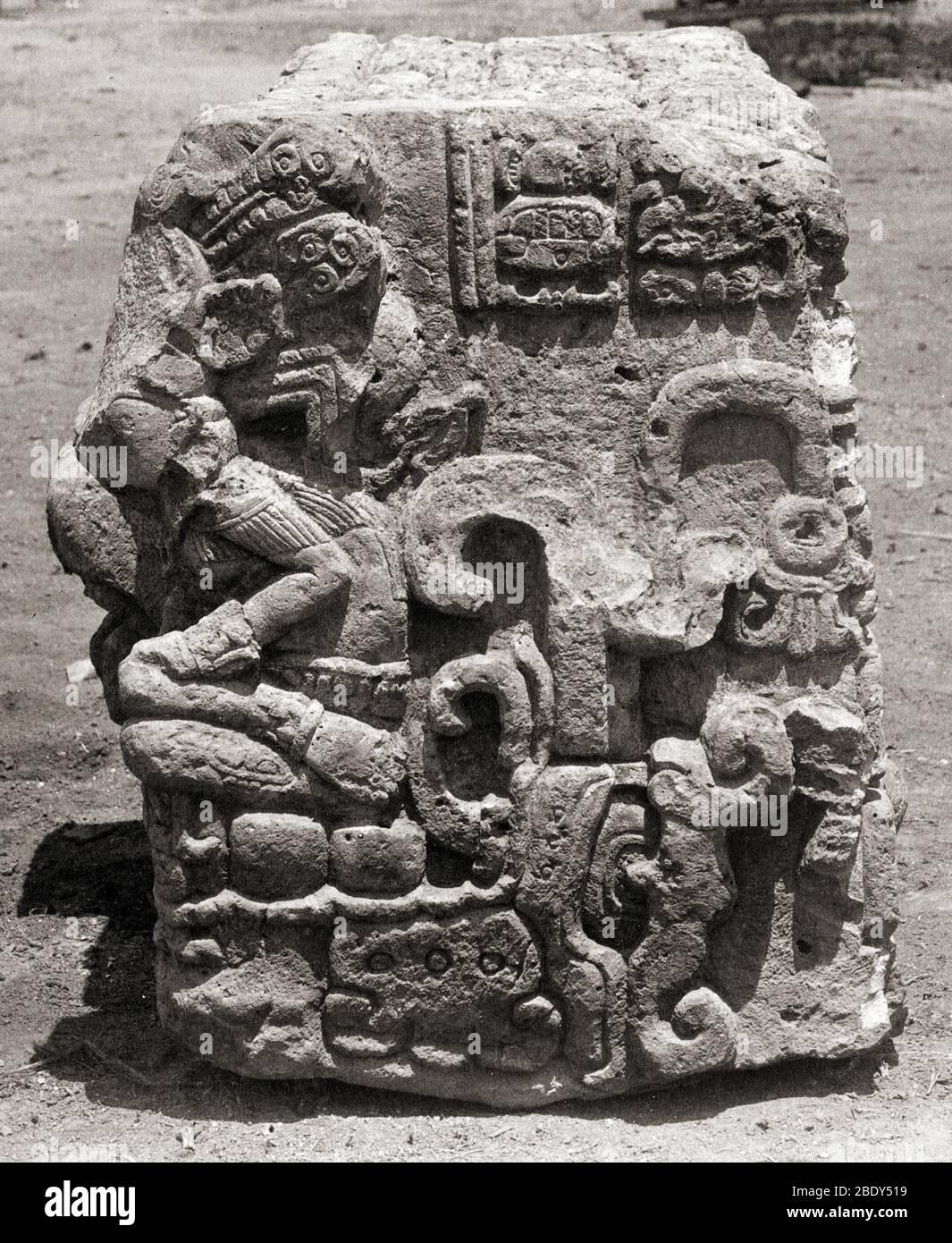 Maya Stela, Copan Stockfoto