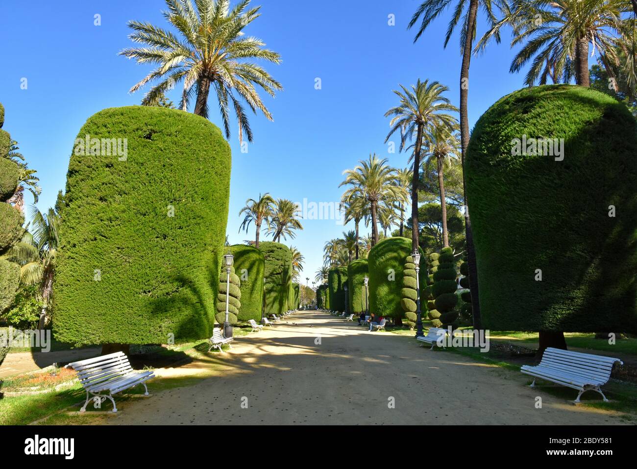 In einem öffentlichen Park in Cadiz, Stadt von Spanien Stockfoto