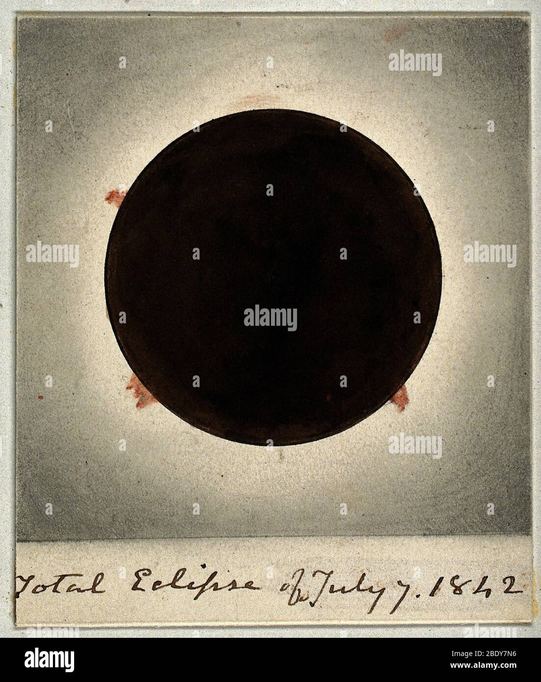 Sonnenkorona während der totalen Finsternis, 1842 Stockfoto