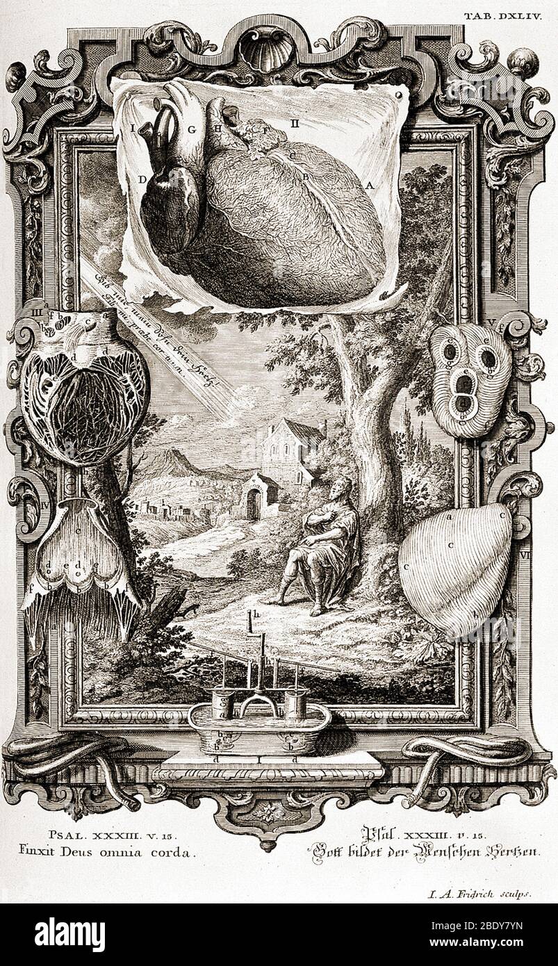 Herz illustriert als Pumpmaschine, 1733 Stockfoto