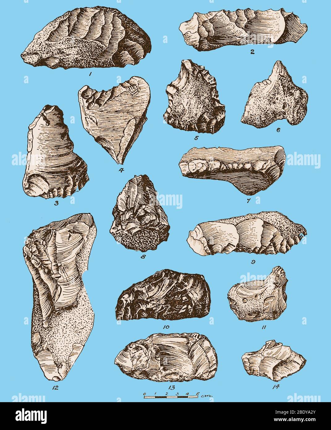 Eolithen aus Frankreich, Belgien und England Stockfoto