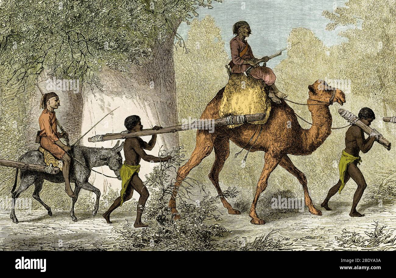 Schwarze Kinder führte in die Sklaverei, 19. Jahrhundert Stockfoto