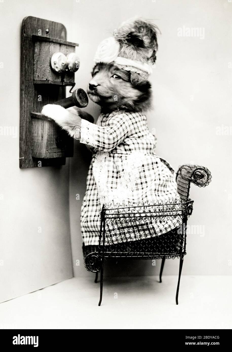 Datum erstellen, 1914 Stockfoto