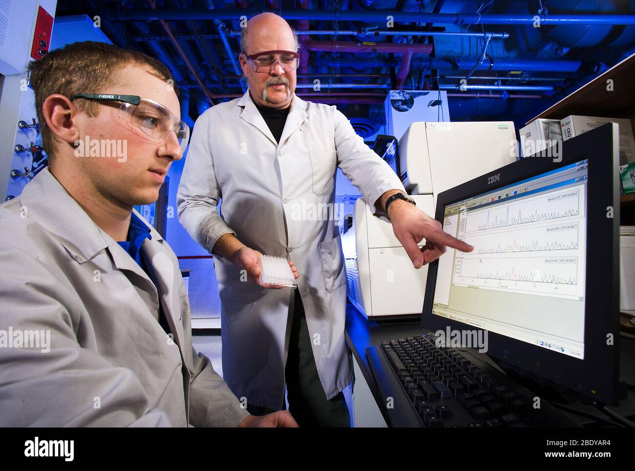 Switchgrass DNA-Forschung Stockfoto