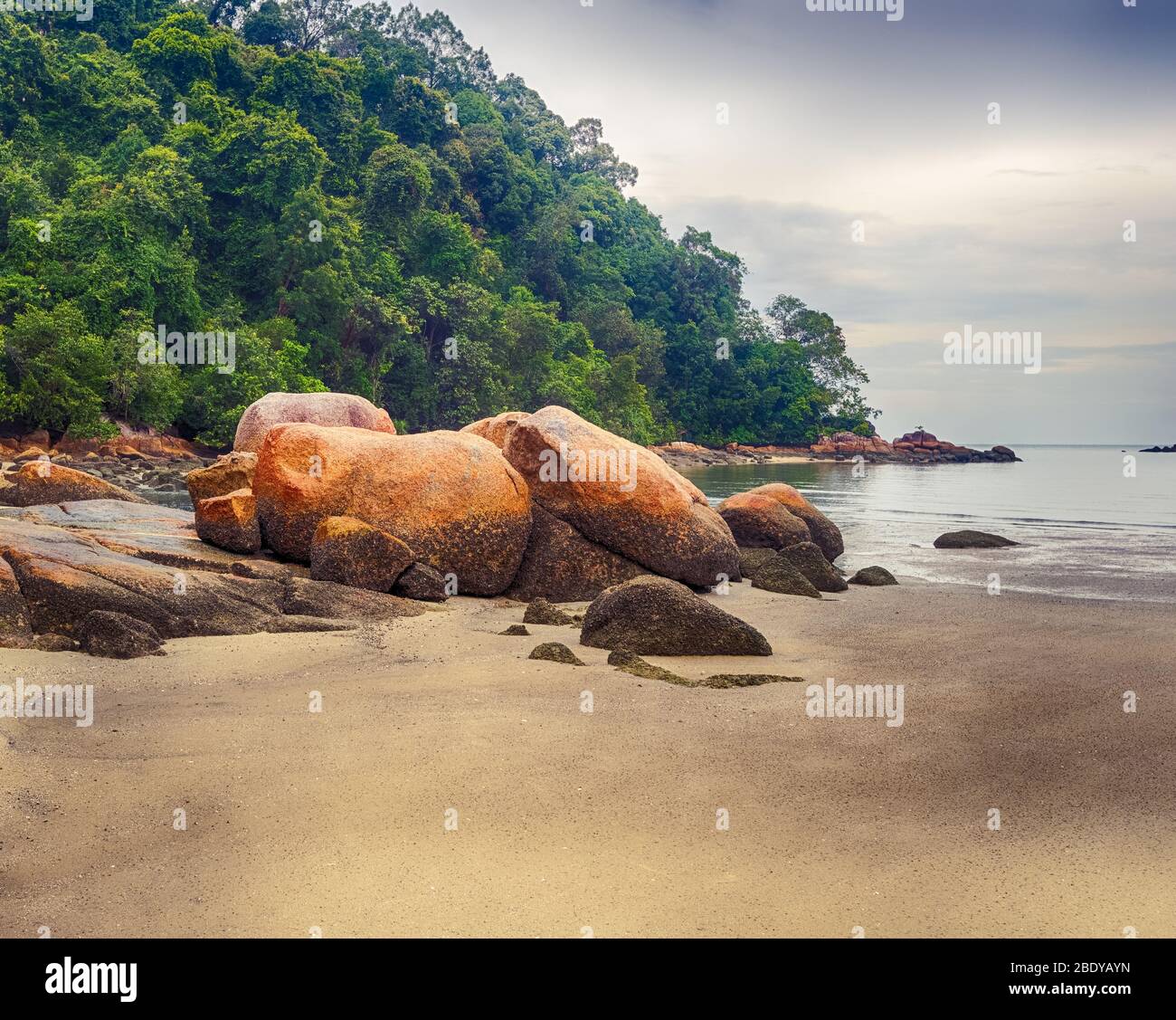 Penang Nationalpark an regnerischen Tag, Malaysia. Stockfoto