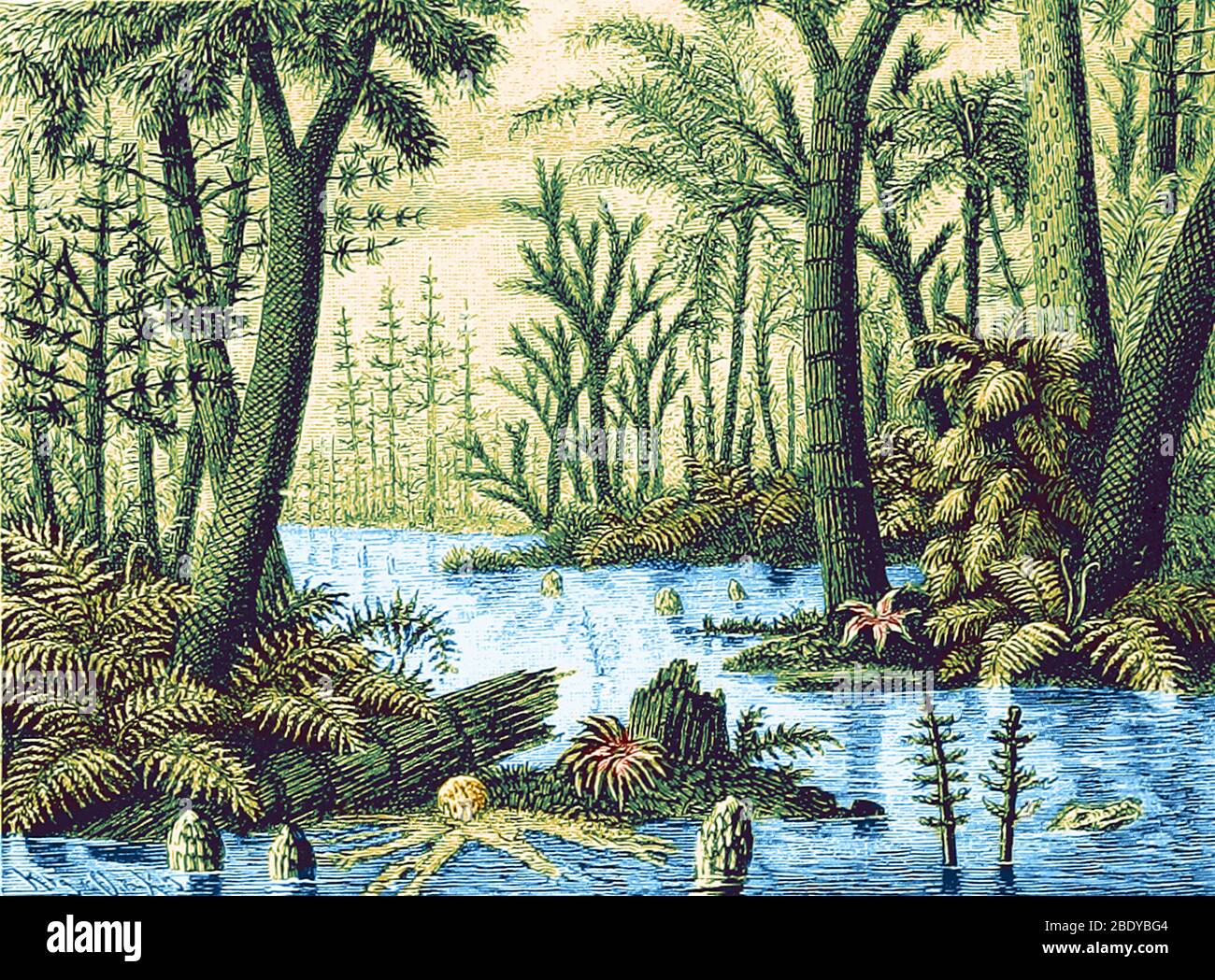 Prähistorische Flora, Karbonische Landschaft Stockfoto