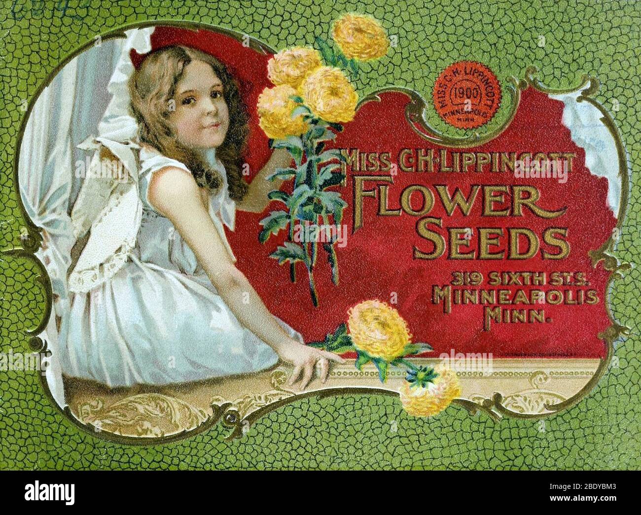 C.H. Lippincott Seed Company, 1900 Stockfoto