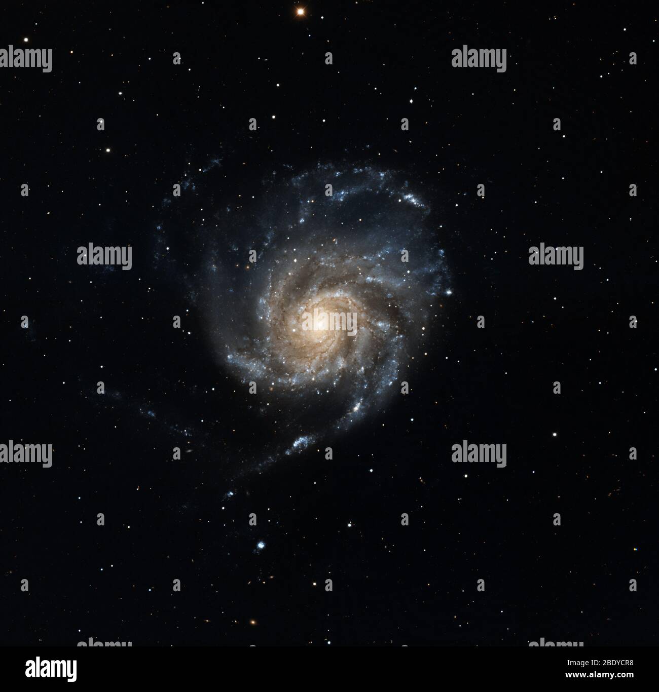 Pinwheel Galaxy, M101, NGC 5457 Stockfoto