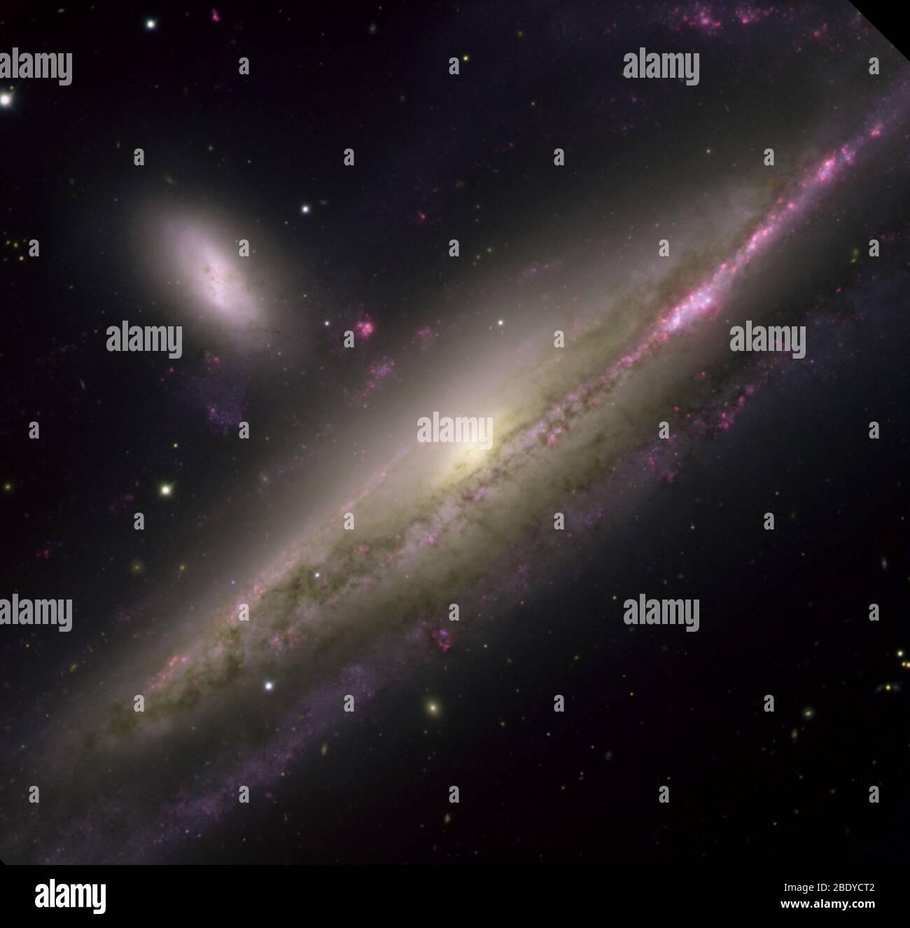 Interagierendes Galaxienpaar, NGC 1532, NGC 1531 Stockfoto