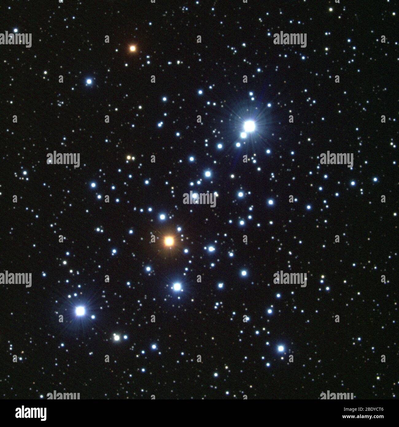 Sternhaufen, M103, NGC 581 Stockfoto