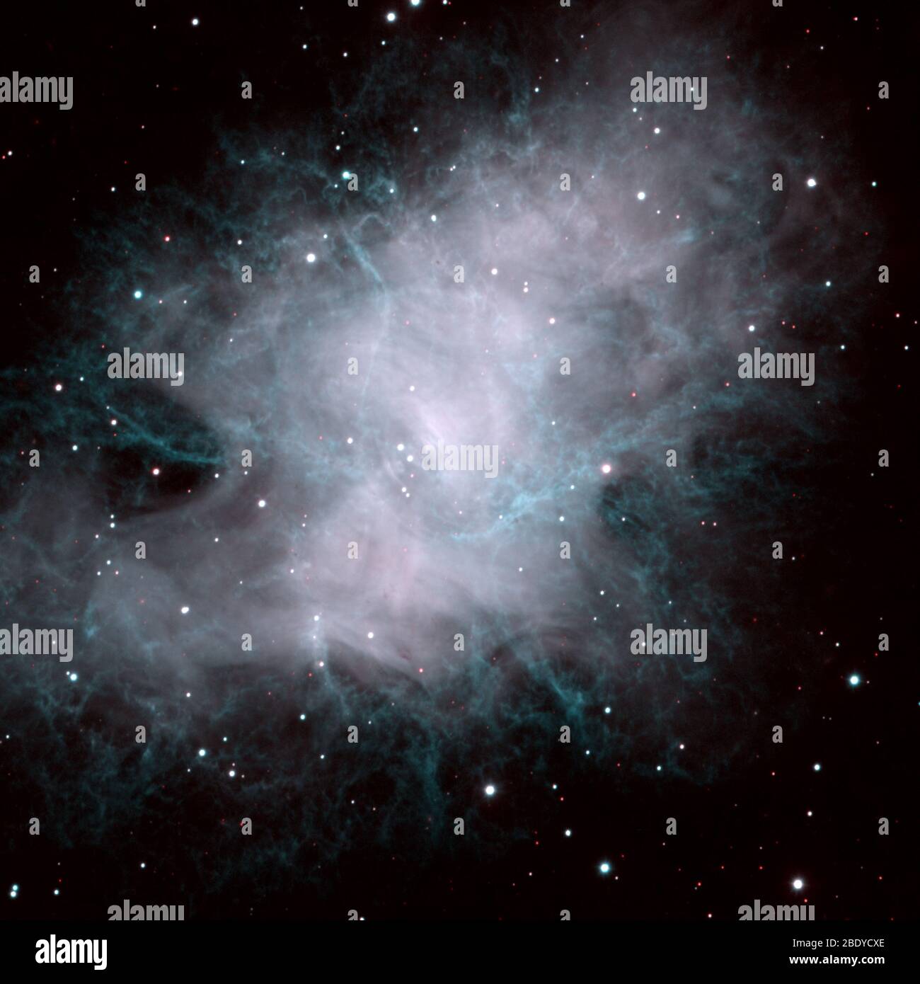 Krabben Sie-Nebel, M1, NGC 1952, Taurus A Stockfoto