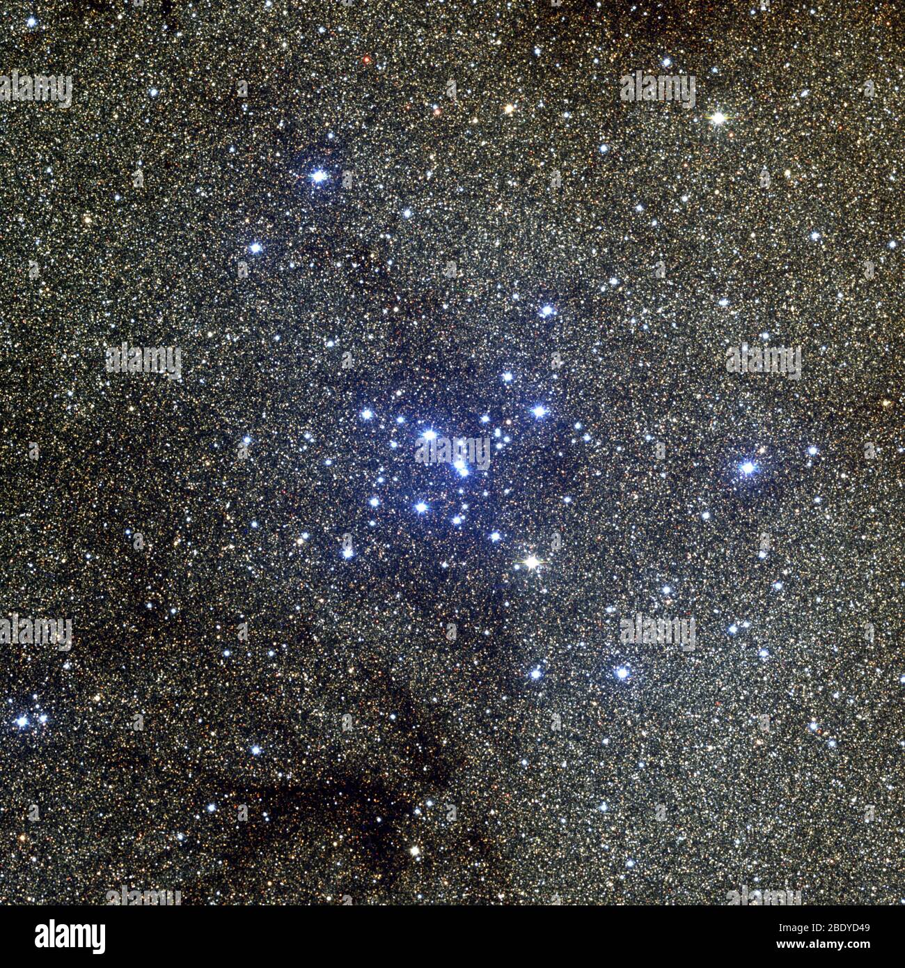 Ptolemäus-Cluster, M7, NGC 6475 Stockfoto