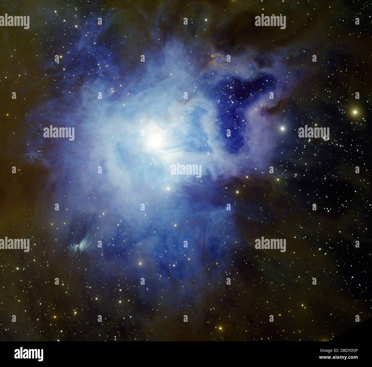 Iris-Nebel, NGC 7023, Caldwell 4 Stockfoto