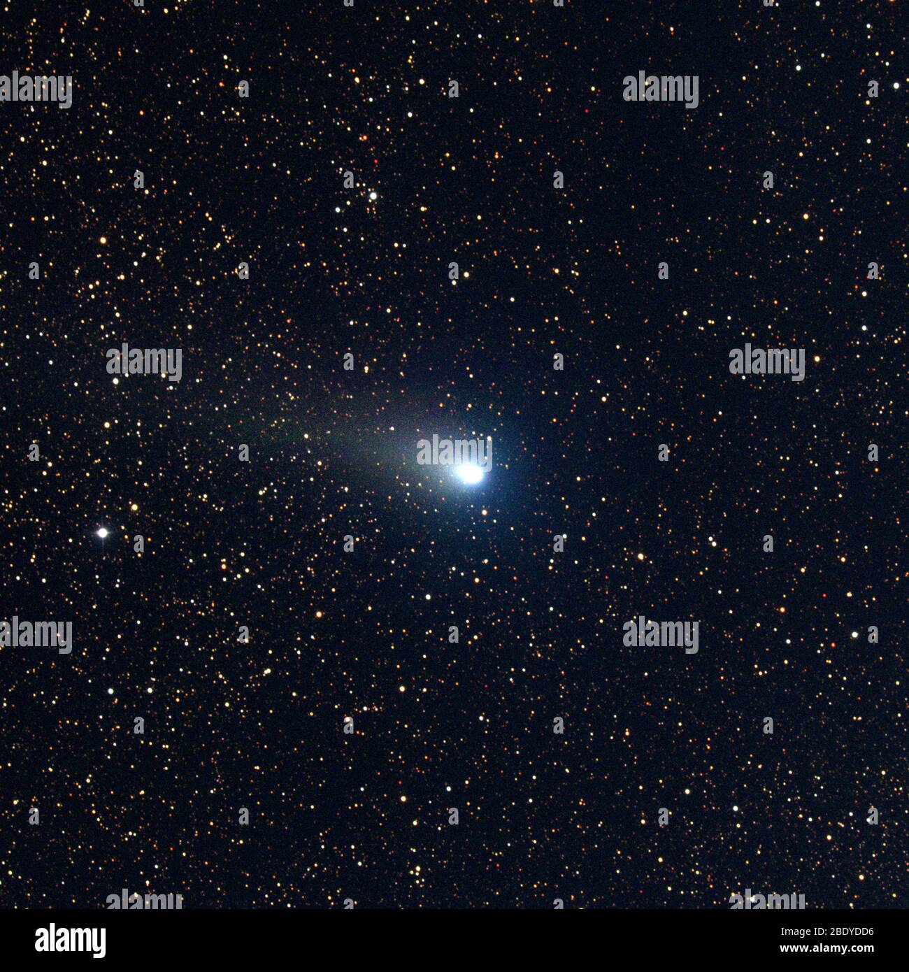 Komet Giacobini-Zinner, 1998 Stockfoto