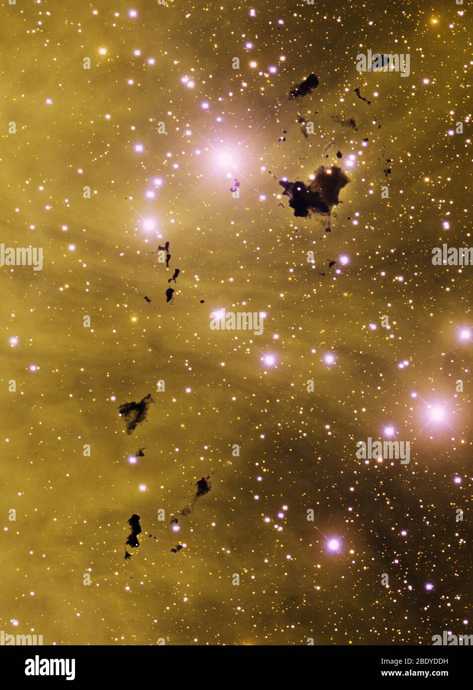 Lambda Centauri Nebel und Bok Globuli Stockfoto