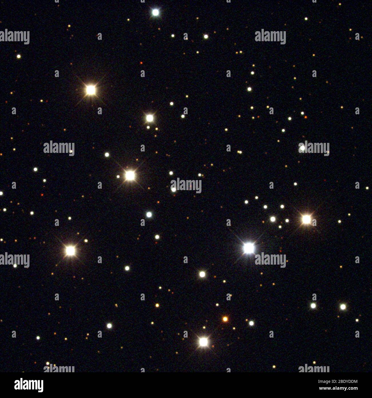 Offener Sternhaufen, M29, NGC 6923 Stockfoto