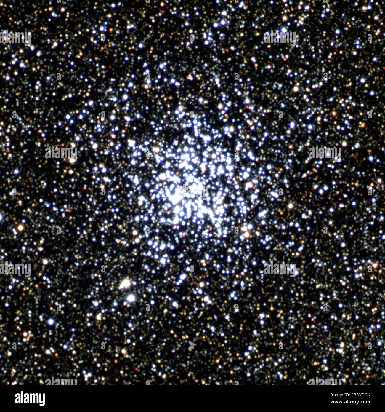 Wildente Haufer, M11, NGC 6705 Stockfoto