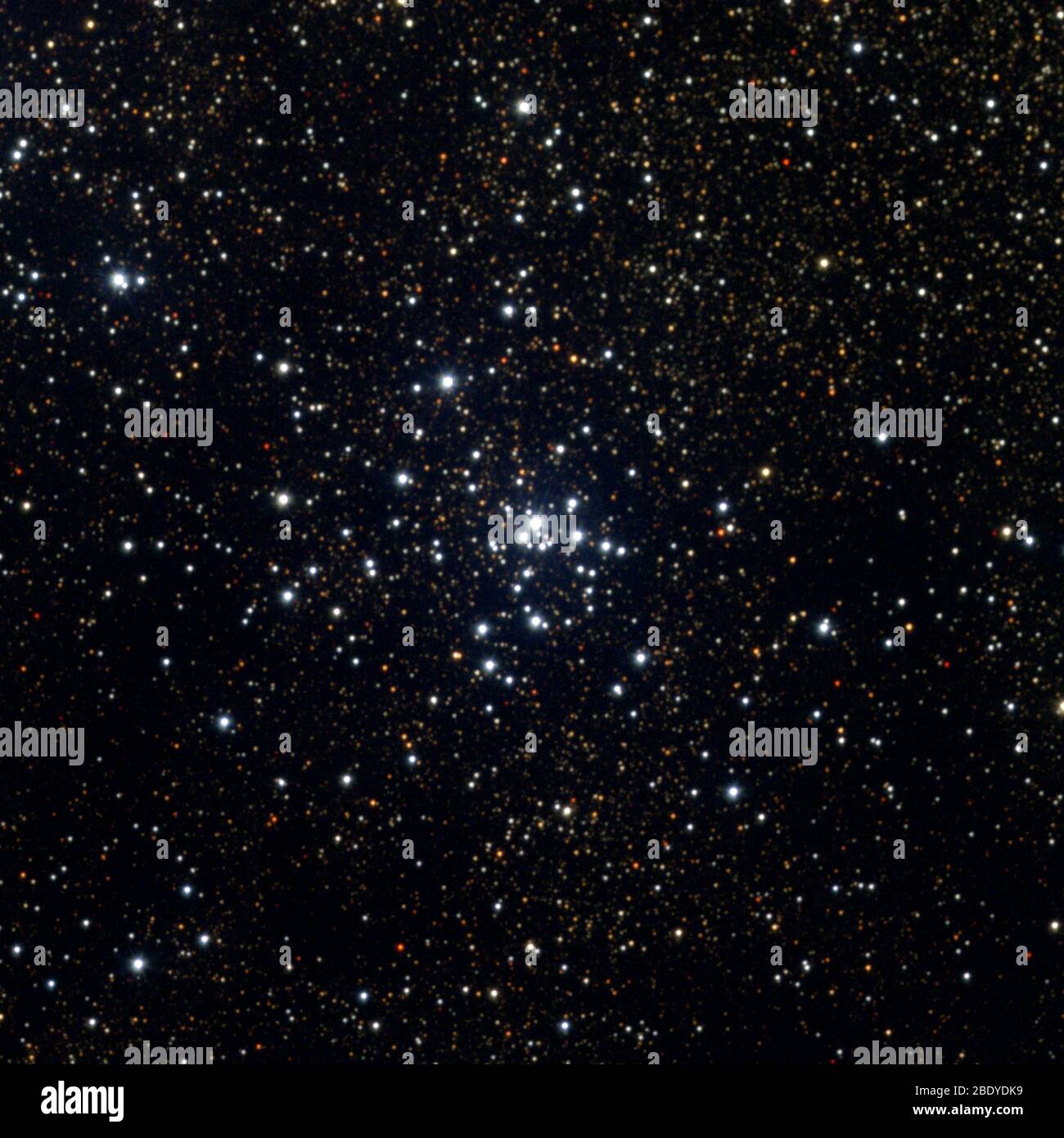 Offener Sternhaufen, M21, NGC 6531 Stockfoto