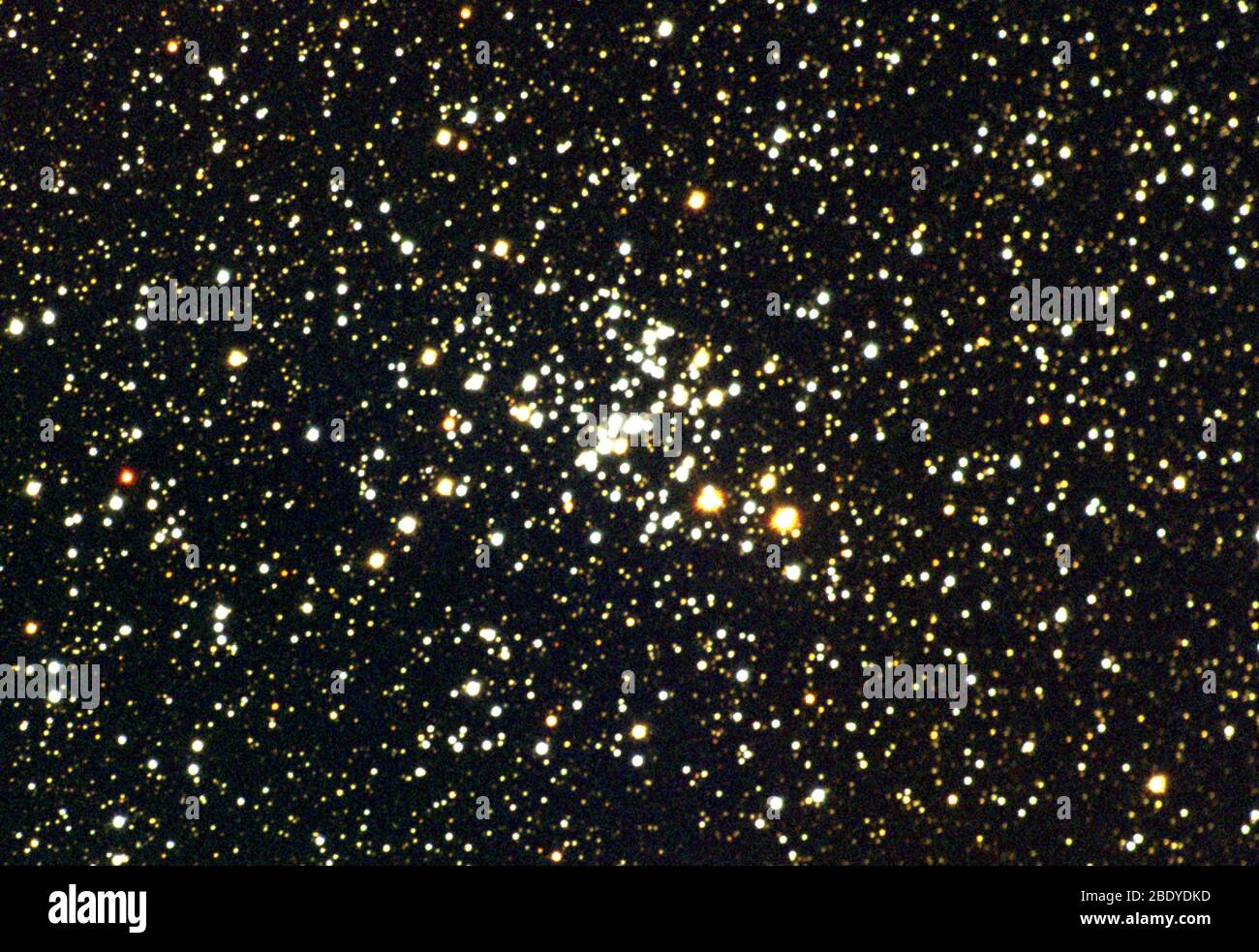 Offener Sternhaufen, M93, NGC 2447 Stockfoto
